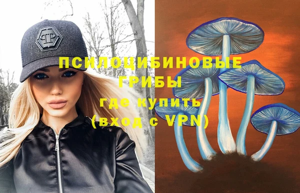 ГАЛЛЮЦИНОГЕННЫЕ ГРИБЫ Алзамай