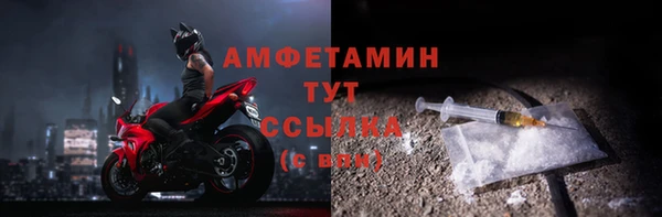 ГАЛЛЮЦИНОГЕННЫЕ ГРИБЫ Алзамай