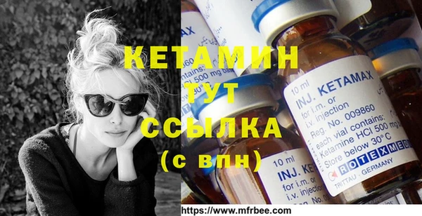 крисы Алексин