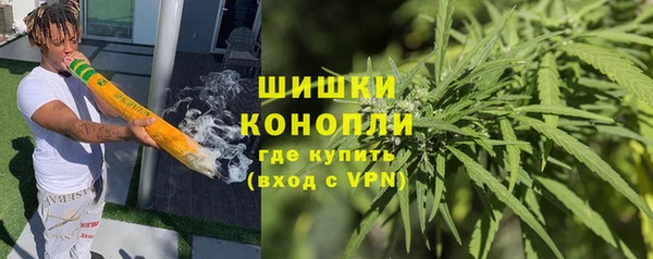 ГАЛЛЮЦИНОГЕННЫЕ ГРИБЫ Алексеевка