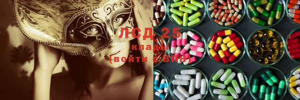 ГАЛЛЮЦИНОГЕННЫЕ ГРИБЫ Алексеевка