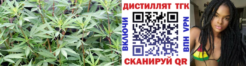 что такое наркотик  Сургут  Дистиллят ТГК вейп с тгк 