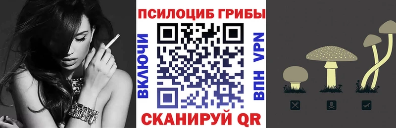 Псилоцибиновые грибы Cubensis  Сургут 